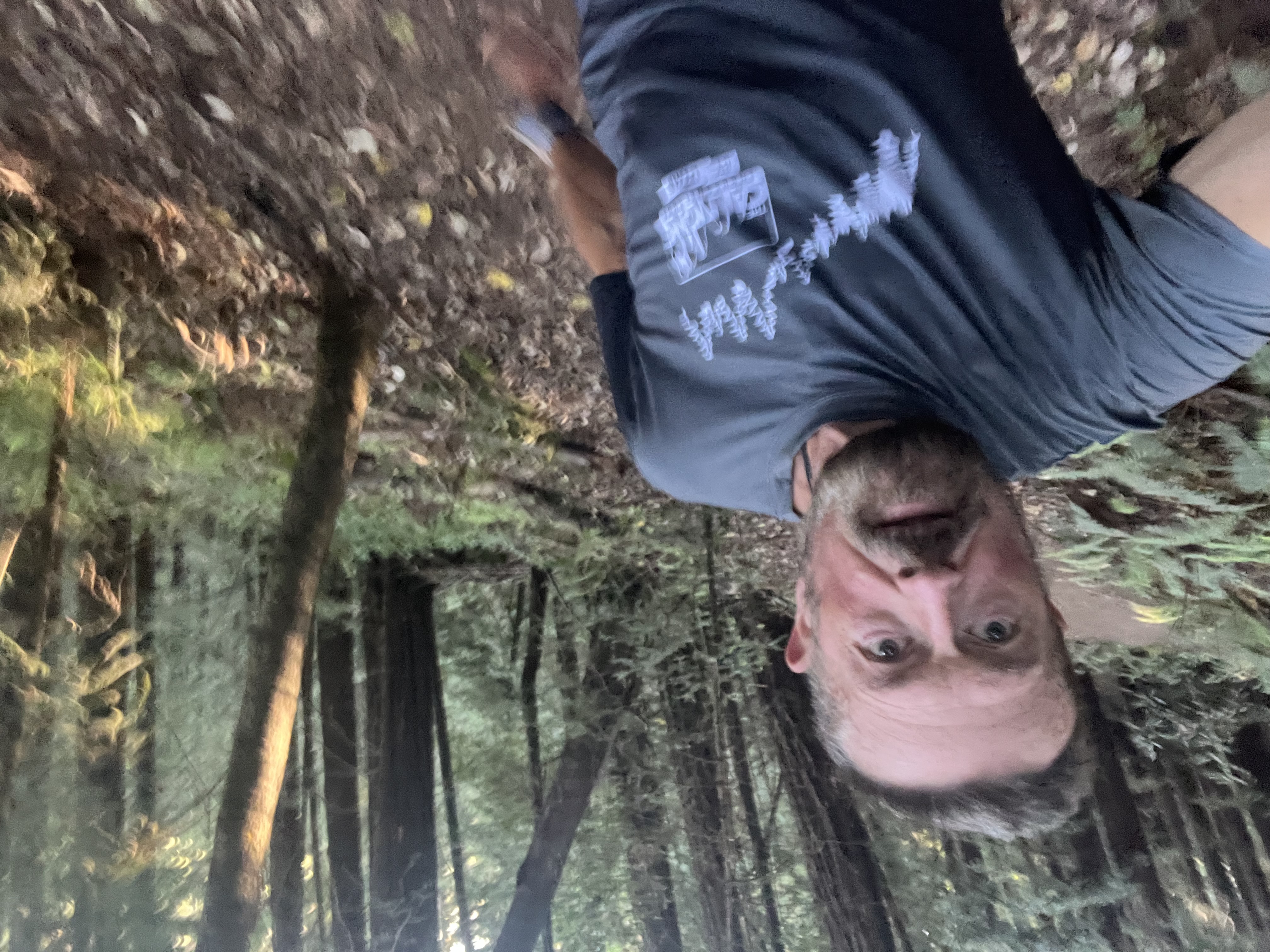 Todd G avatar